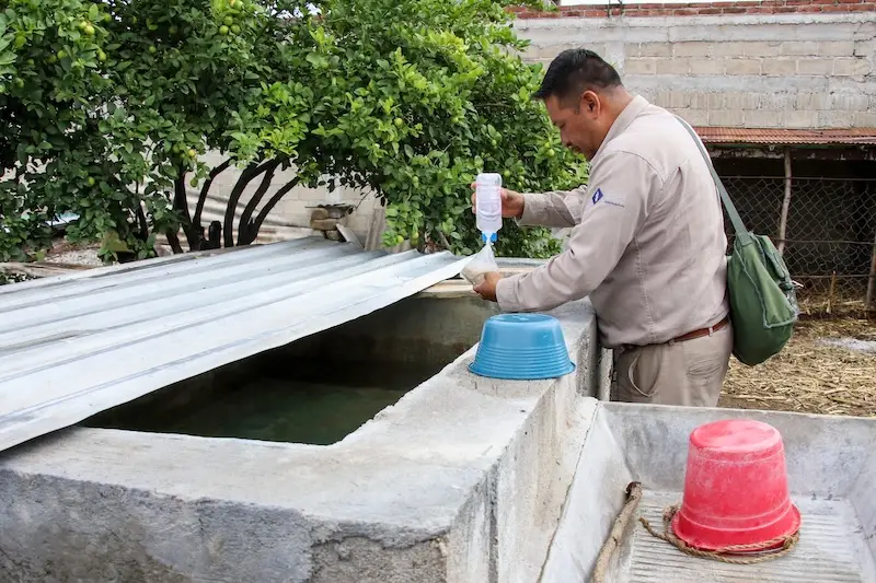 En Puebla durante lo que va del 2025 se han registrado 172 casos de Dengue