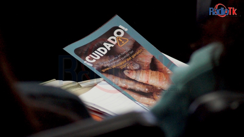 En escuelas de Tecamachalco imparten pláticas sobre la detección del Gusano Barrenador del Ganado (GBG)