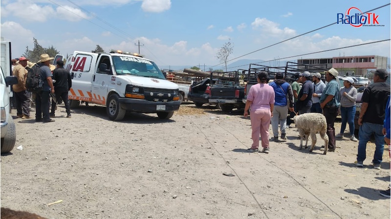 Dos lesionados deja caída de un poste de alta tensión en Tecamachalco